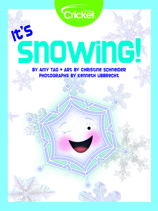 Title details for It's Snowing! by Amy Tao - Wait list